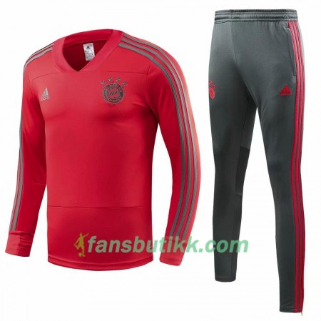 FC Bayern München Trenings Collegegenser Set Rød 2018-2019